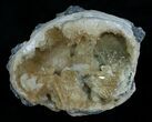 Crystal Filled Fossil Clam - Rucks Pit, FL #6043-2
